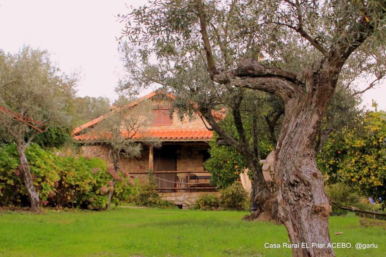 Casa Rural El Pilar Acebo Exterior foto
