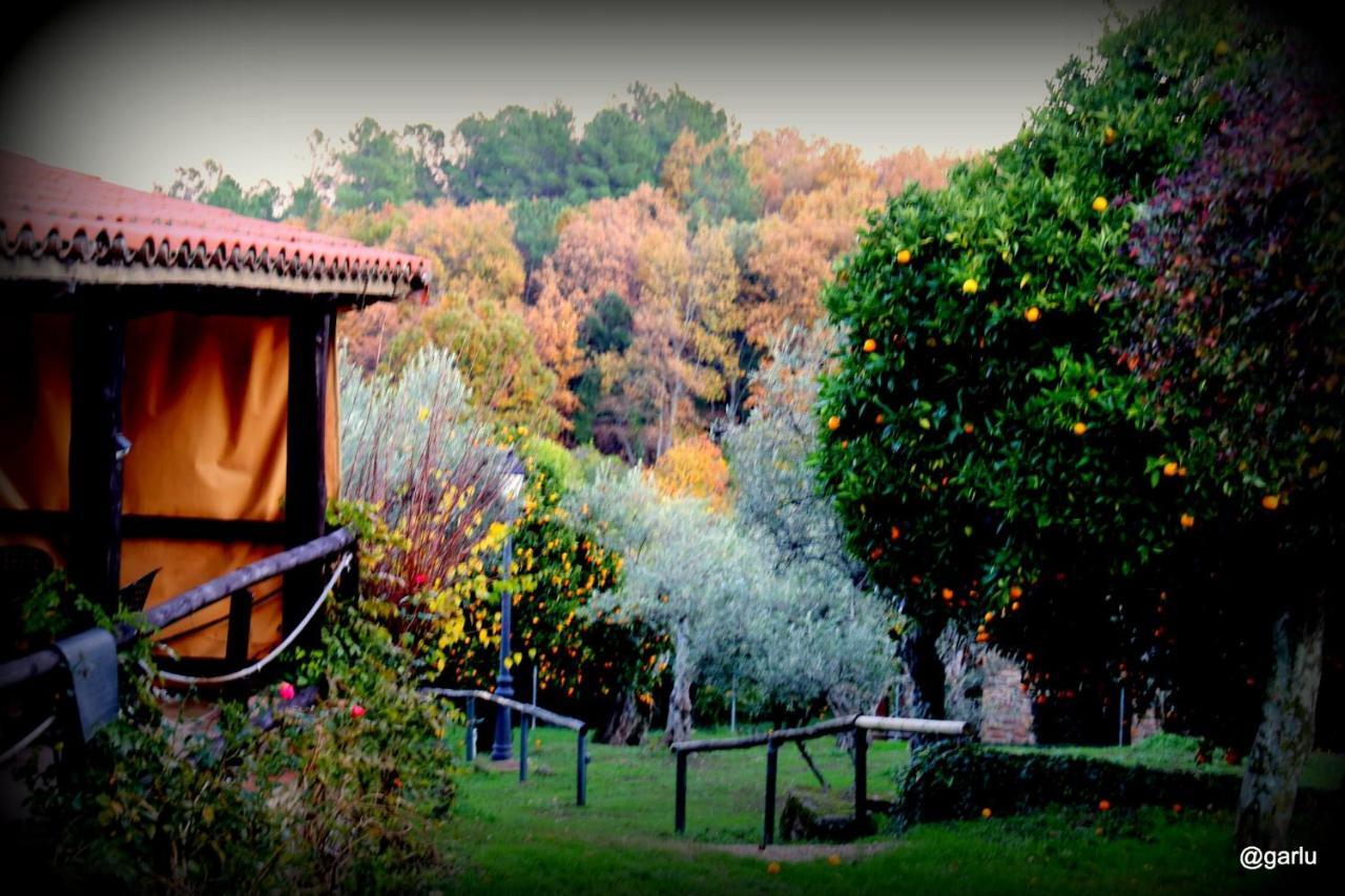 Casa Rural El Pilar Acebo Exterior foto